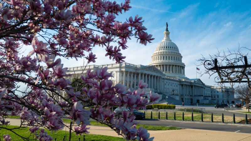 U.S. Capitol